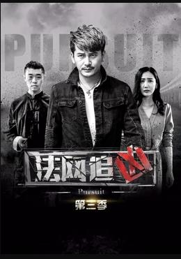 法网追凶第3季