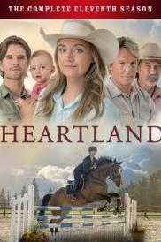 心灵之地第11季