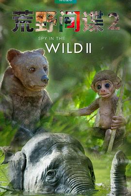 荒野间谍第2季