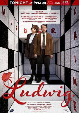 谜探路德维希第1季