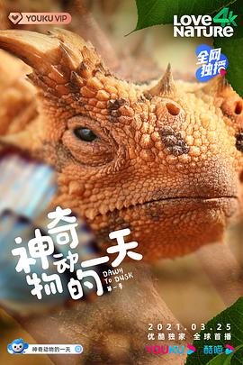 神奇动物的一天第1季