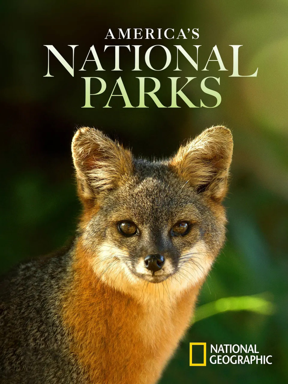 美国国家公园第2季