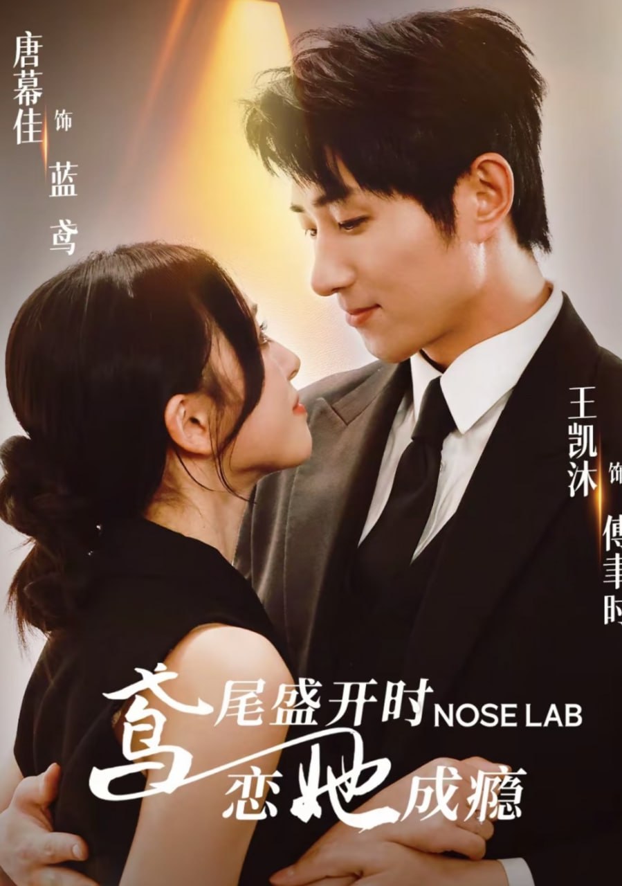 鸢尾盛开时恋她成瘾