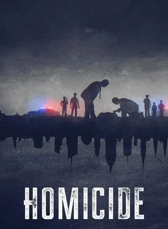 凶杀重案实录：纽约第2季