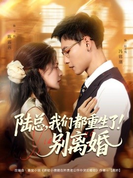 陆总，我们都重生了！别离婚