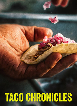 塔可美食纪第3季