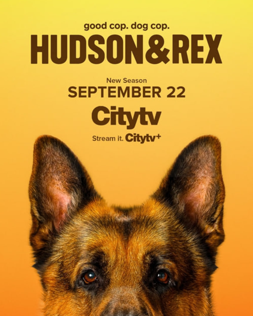 哈德森与雷克斯第8季