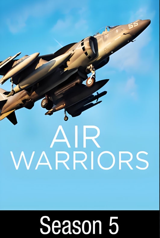 战机：空中勇士第5季