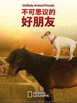 不可思议的好朋友第3季