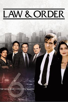法律与秩序第6季