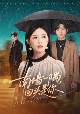 南墙一隅，回头是你