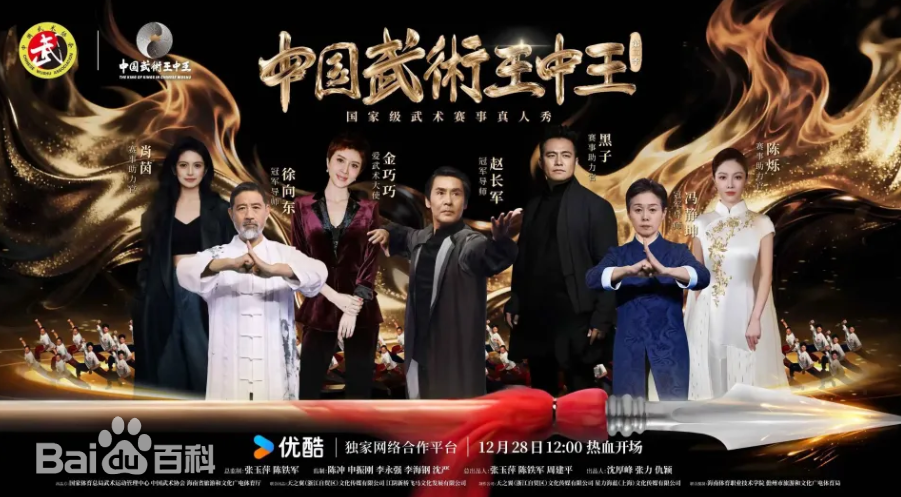 中国武术王中王第2季