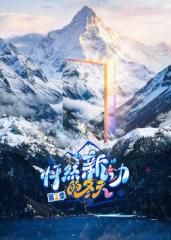 怦然新动的冬天第2季