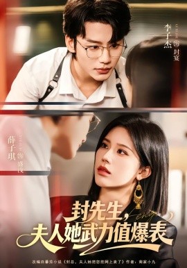 封先生，夫人她武力值爆表