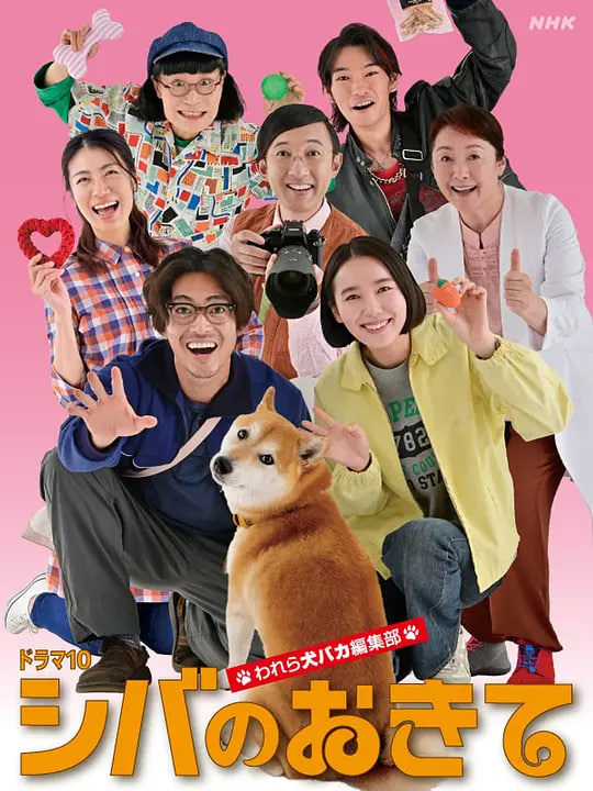 柴犬的规矩~我们这群狗痴编辑部